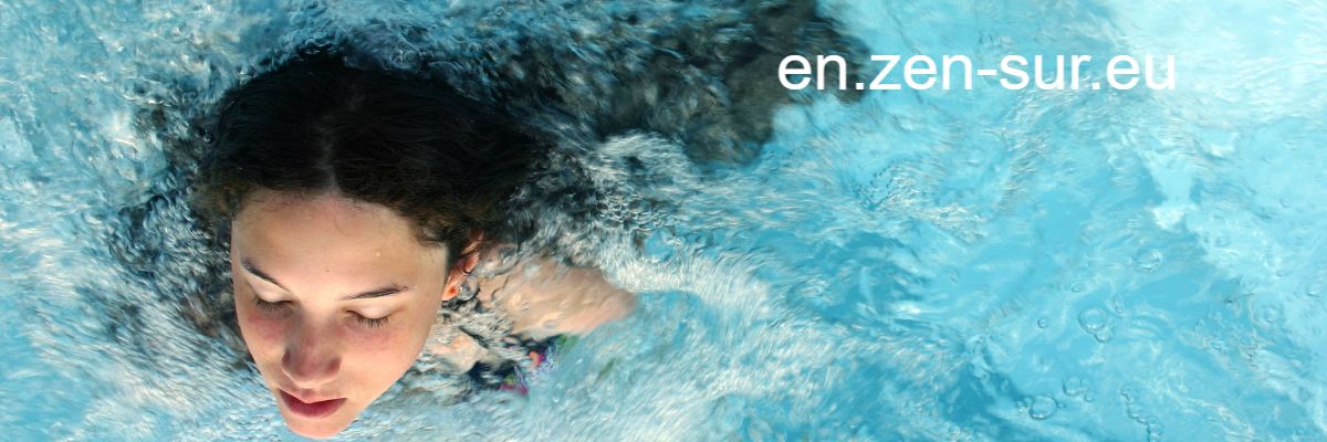 en.zen-sur.eu